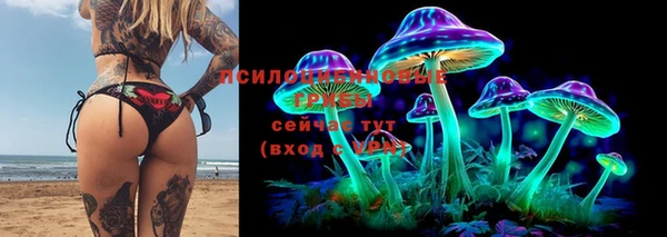 эйфоретик Вяземский