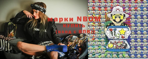 эйфоретик Вяземский