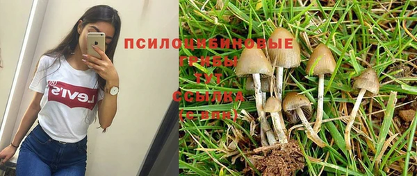 спайс Вязники
