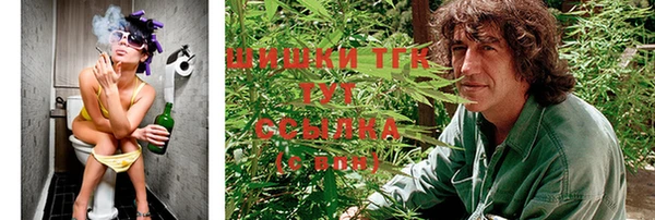 эйфоретик Вяземский