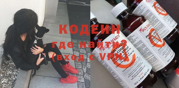 эйфоретик Вяземский