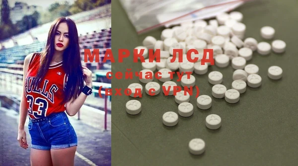 эйфоретик Вяземский