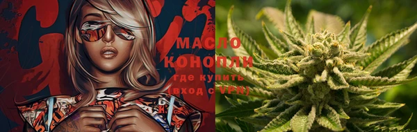 эйфоретик Вяземский